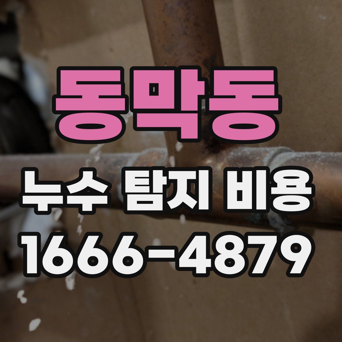 동막동 누수 탐지 비용