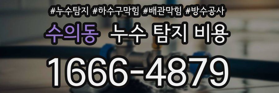 수의동 누수 탐지 비용