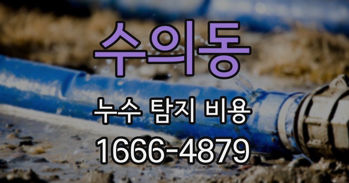 수의동 누수 탐지 비용