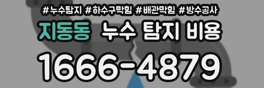지동동 누수 탐지 비용