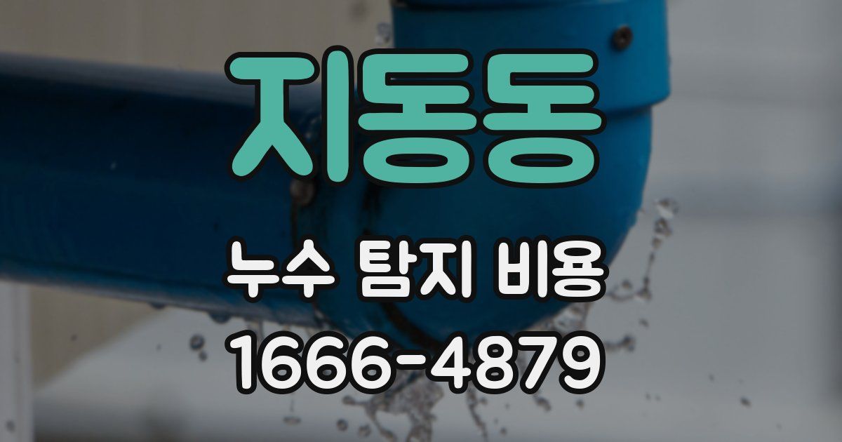 지동동 누수 탐지 비용
