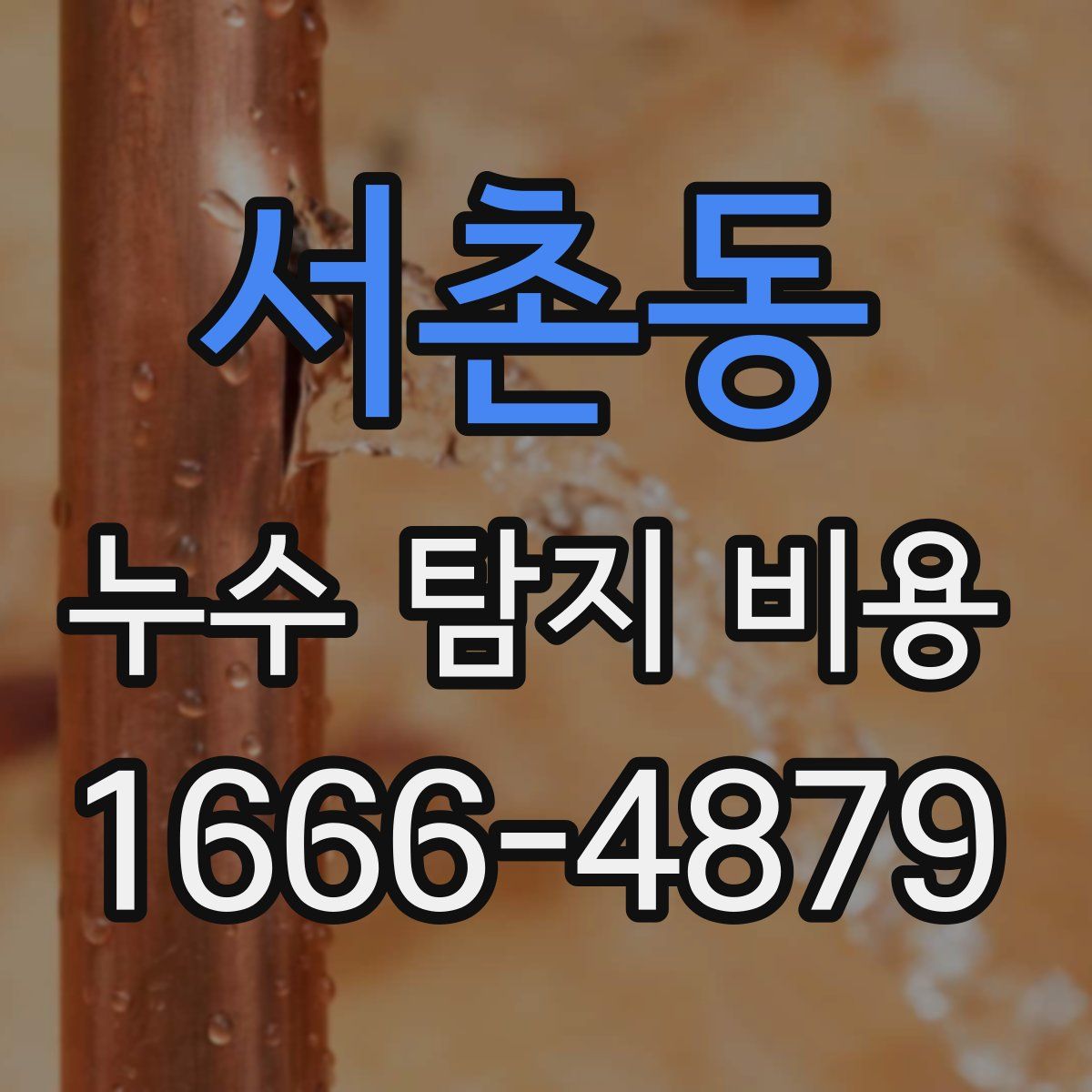 서촌동 누수 탐지 비용