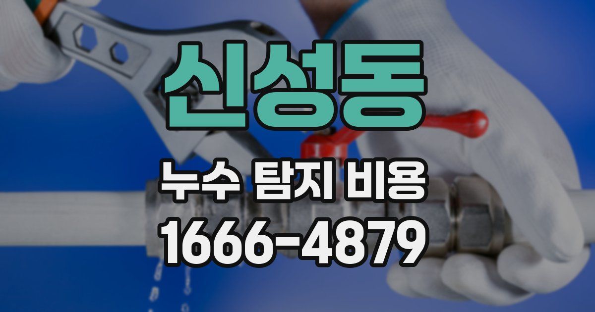 신성동 누수 탐지 비용