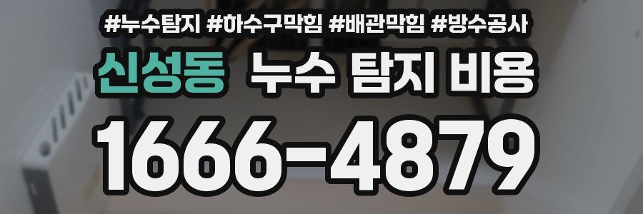 신성동 누수 탐지 비용