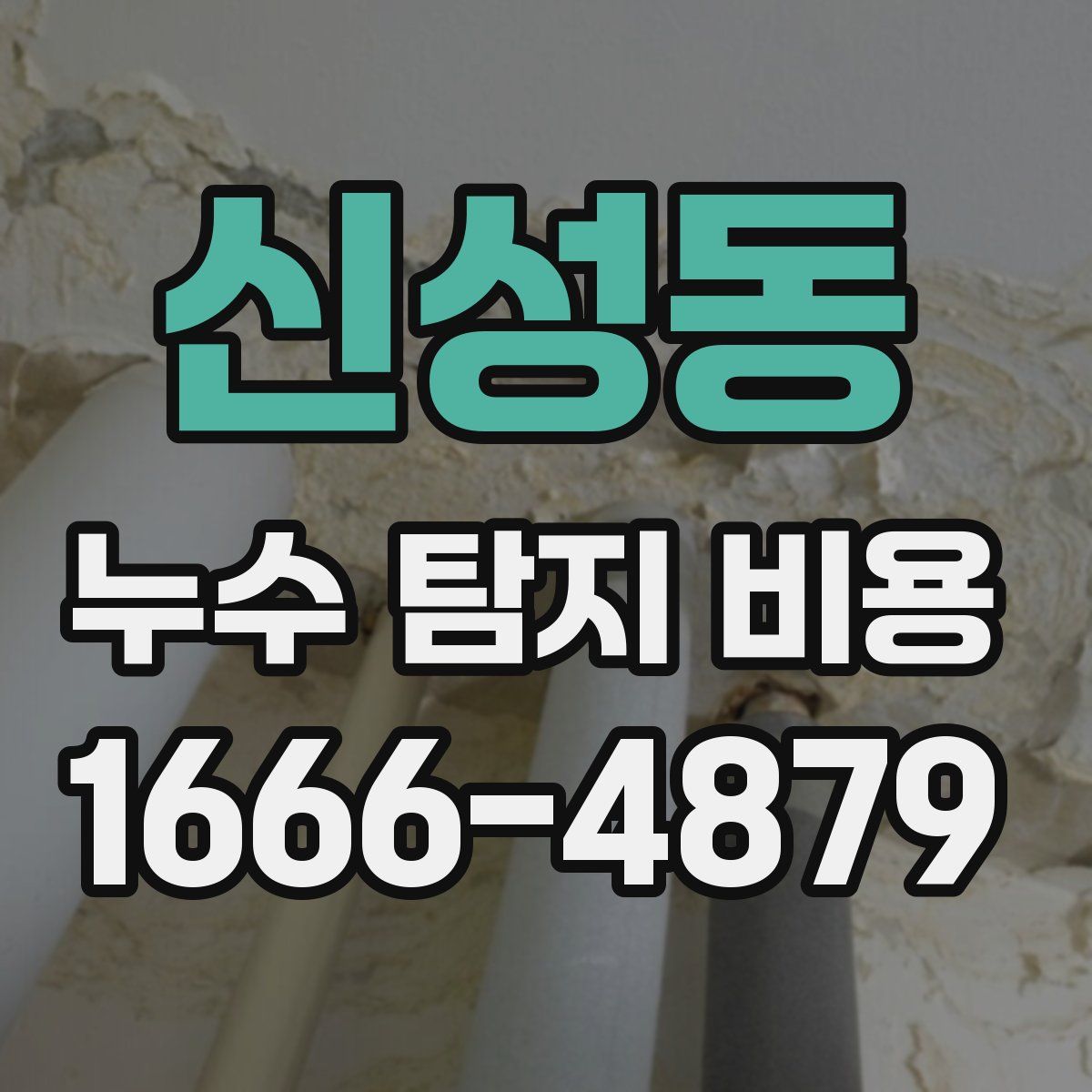 신성동 누수 탐지 비용