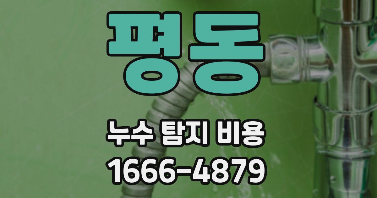 평동 누수 탐지 비용