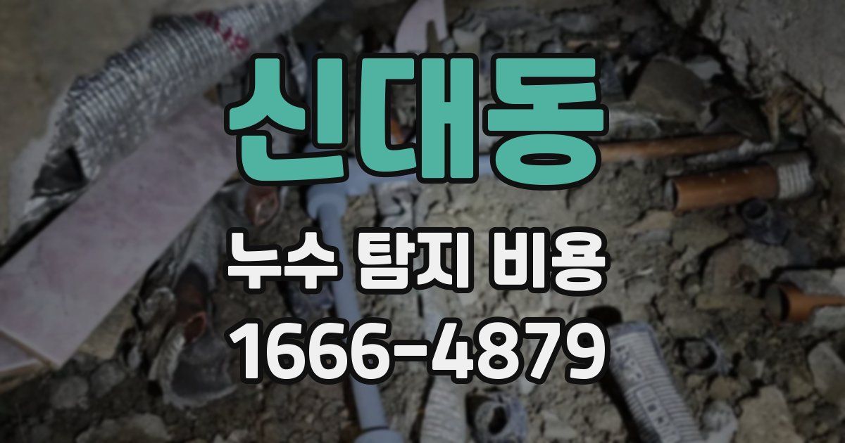 신대동 누수 탐지 비용