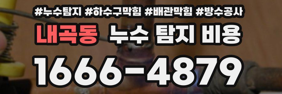 내곡동 누수 탐지 비용