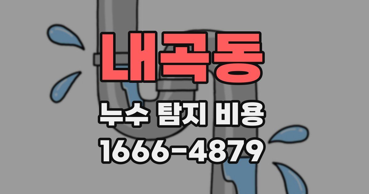 내곡동 누수 탐지 비용
