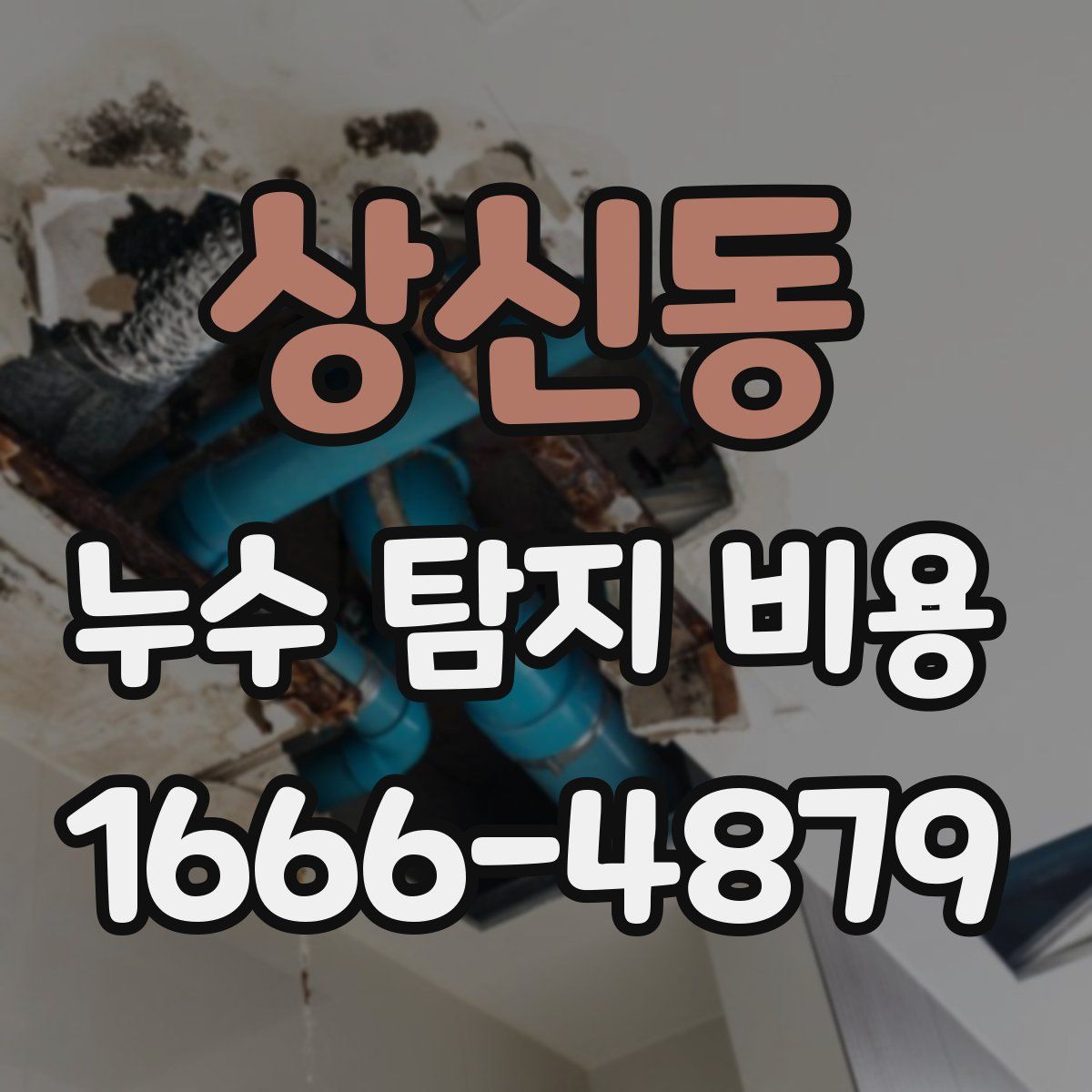 상신동 누수 탐지 비용