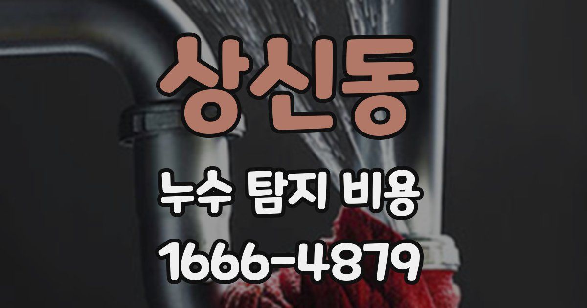 상신동 누수 탐지 비용