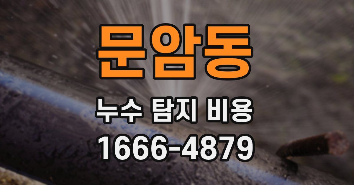 문암동 누수 탐지 비용