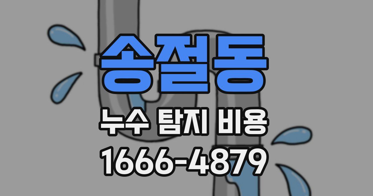 송절동 누수 탐지 비용