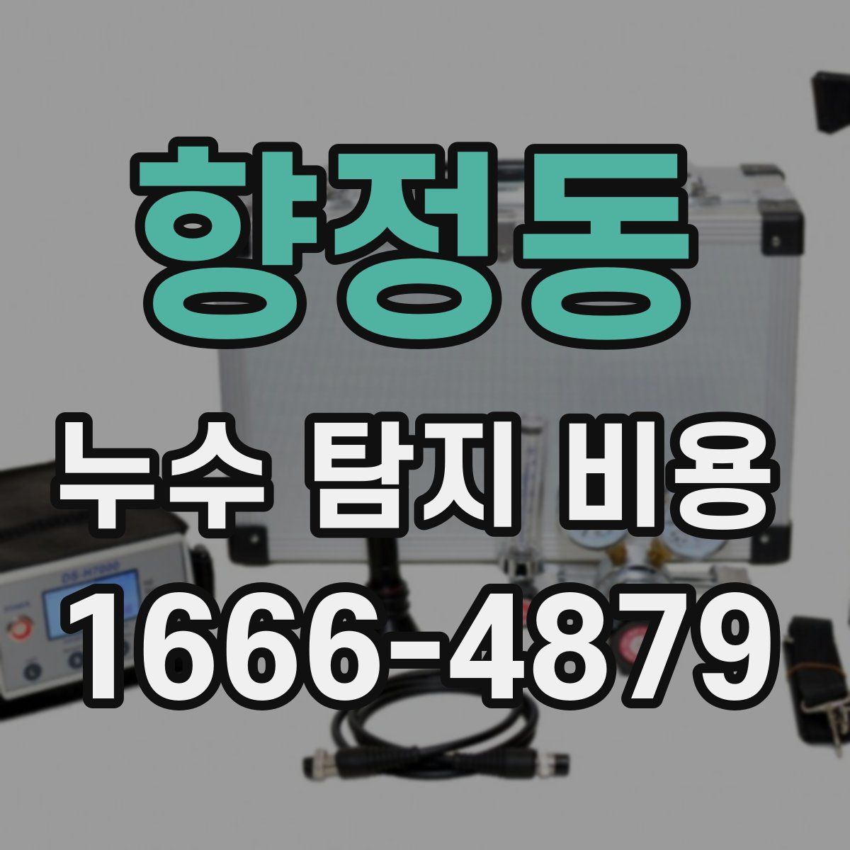 향정동 누수 탐지 비용