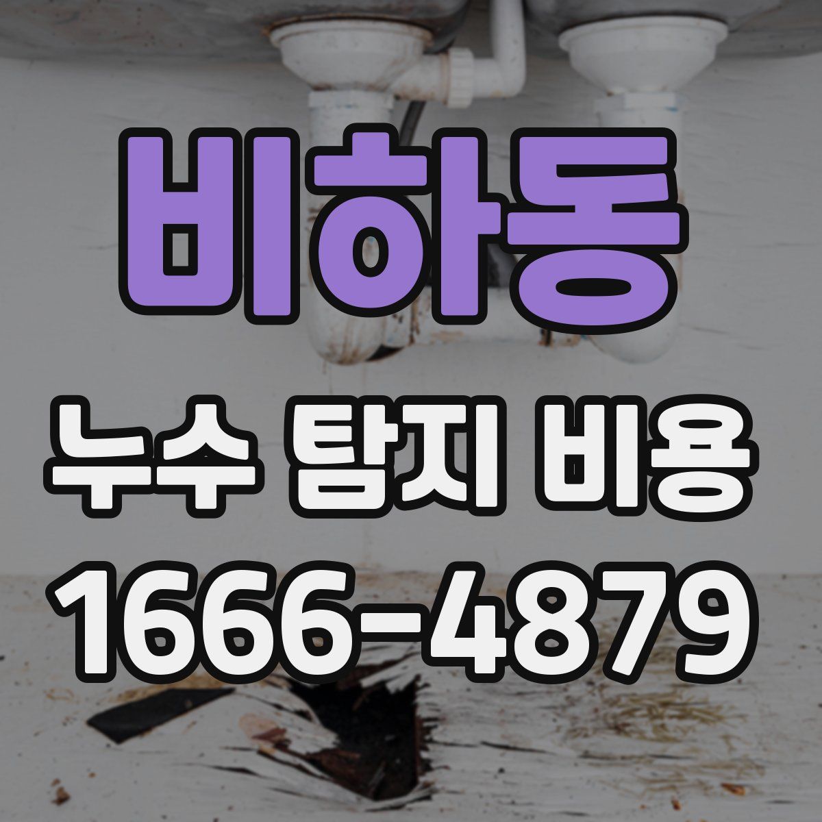 비하동 누수 탐지 비용