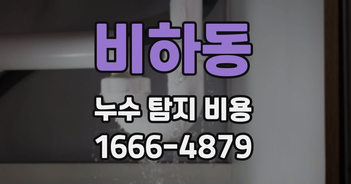비하동 누수 탐지 비용