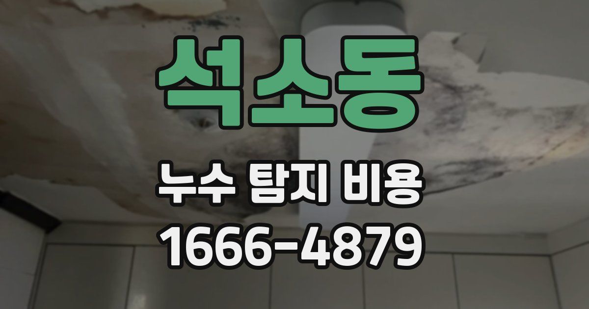 석소동 누수 탐지 비용