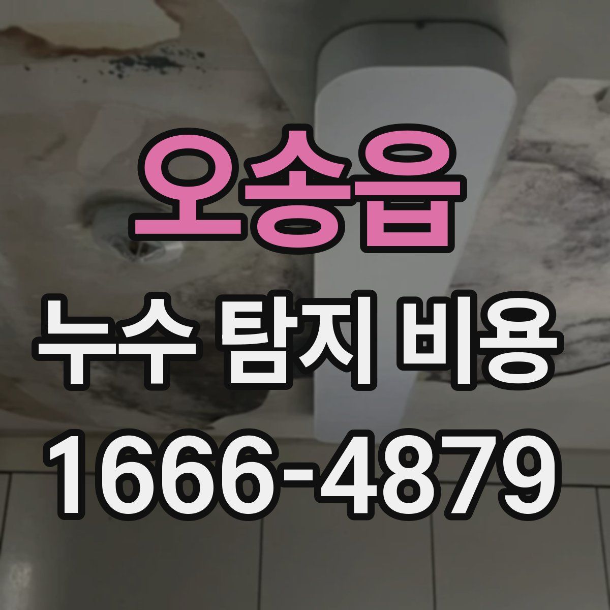 오송읍 누수 탐지 비용