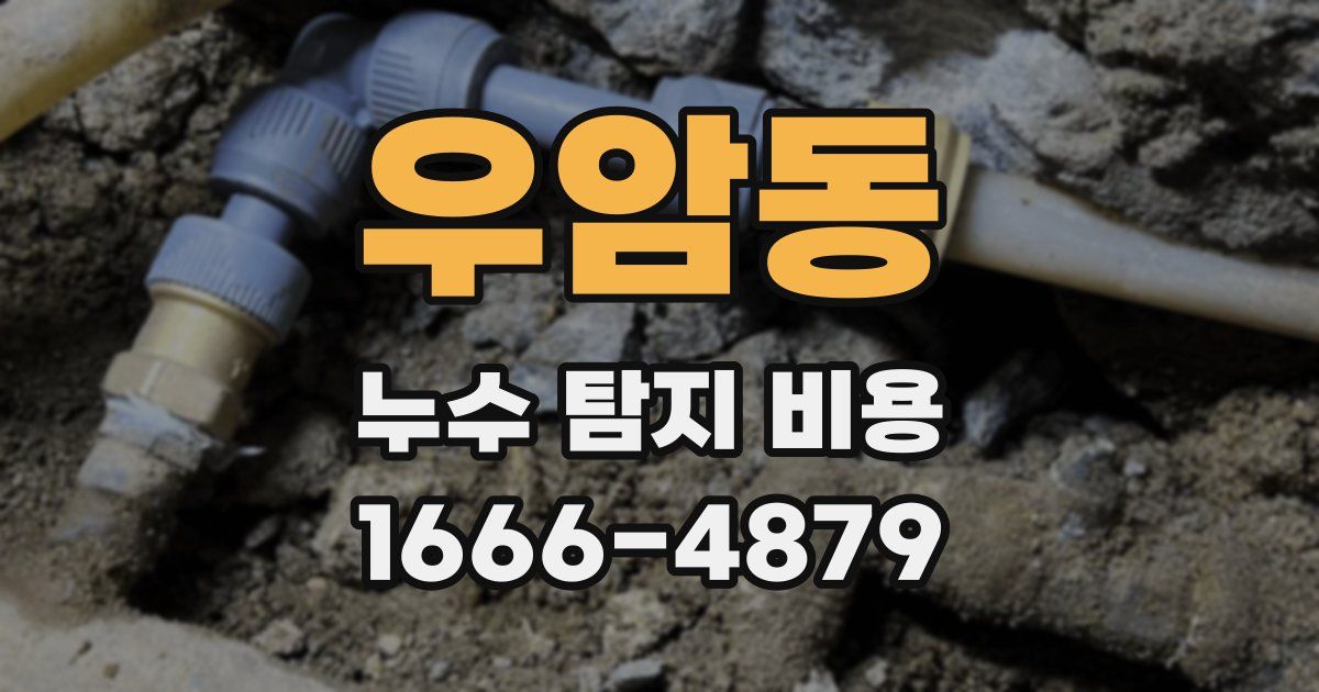 우암동 누수 탐지 비용