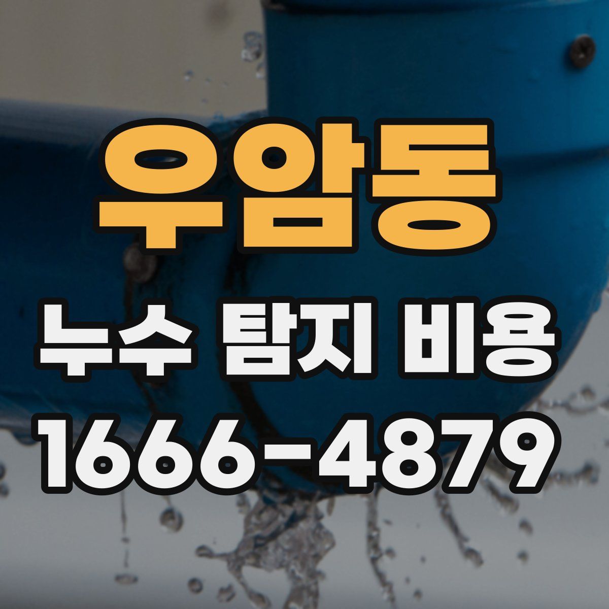 우암동 누수 탐지 비용