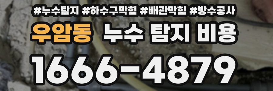 우암동 누수 탐지 비용