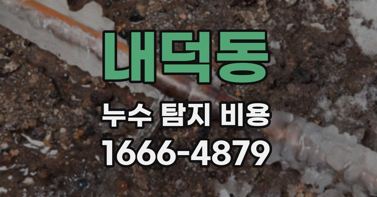내덕동 누수 탐지 비용