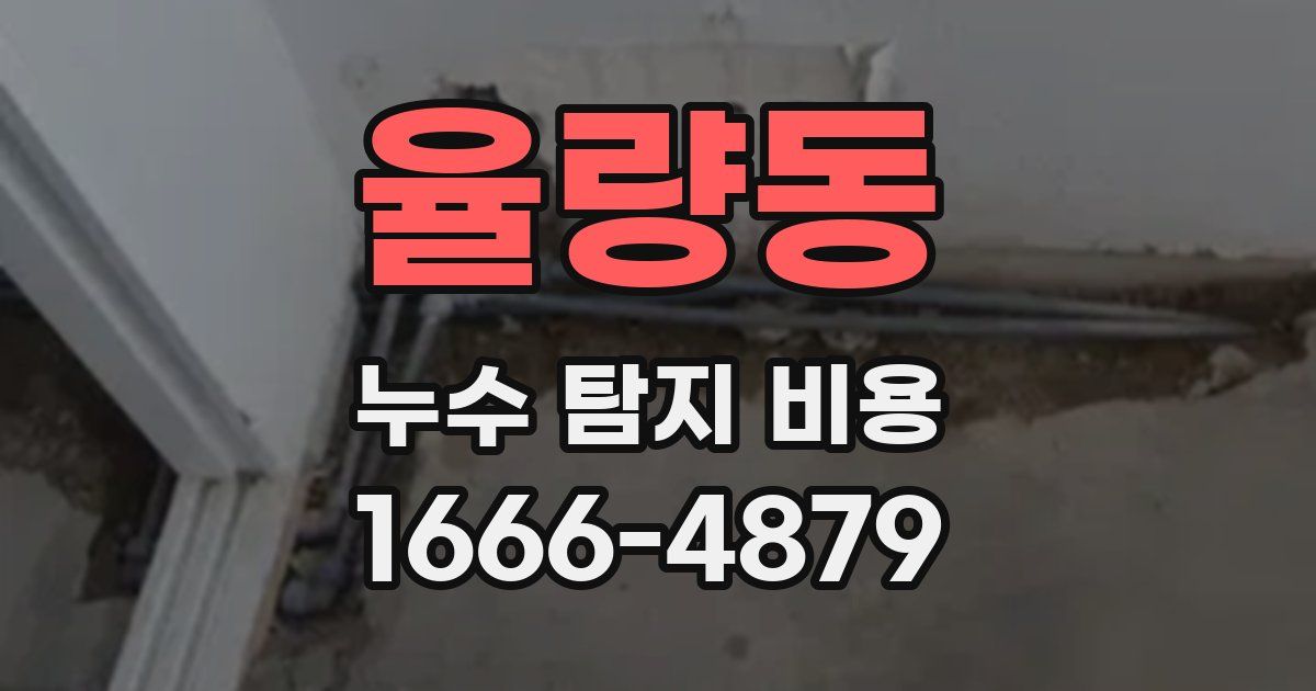 율량동 누수 탐지 비용