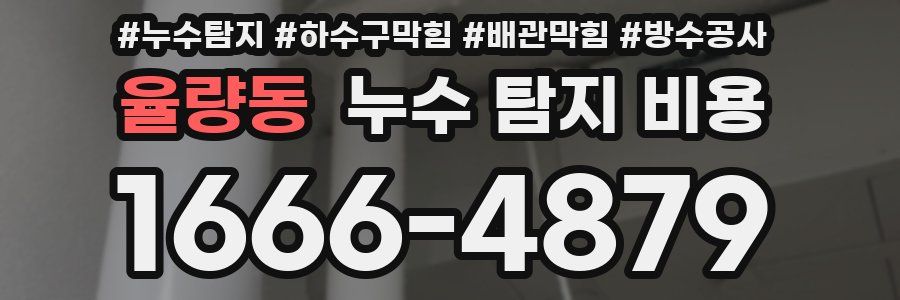 율량동 누수 탐지 비용