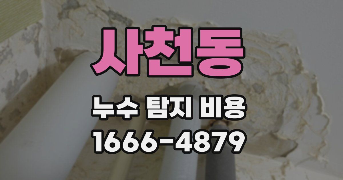 사천동 누수 탐지 비용