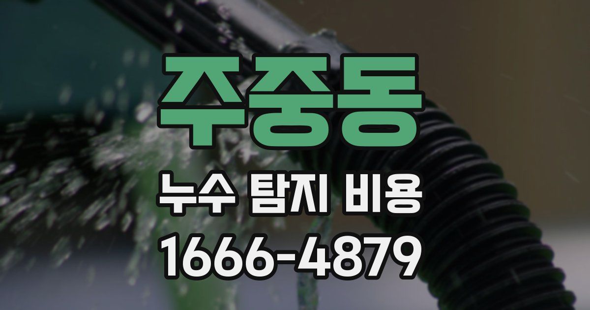 주중동 누수 탐지 비용