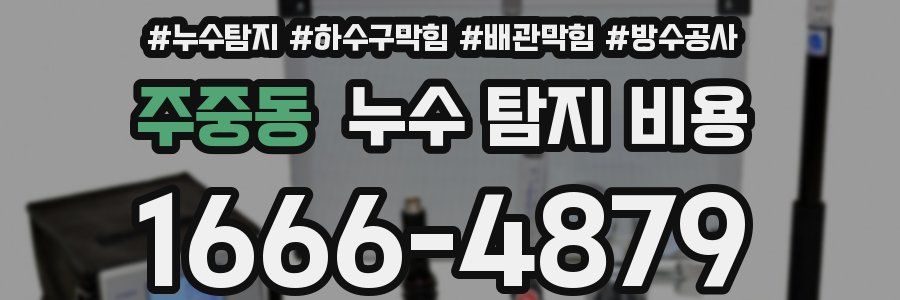 주중동 누수 탐지 비용
