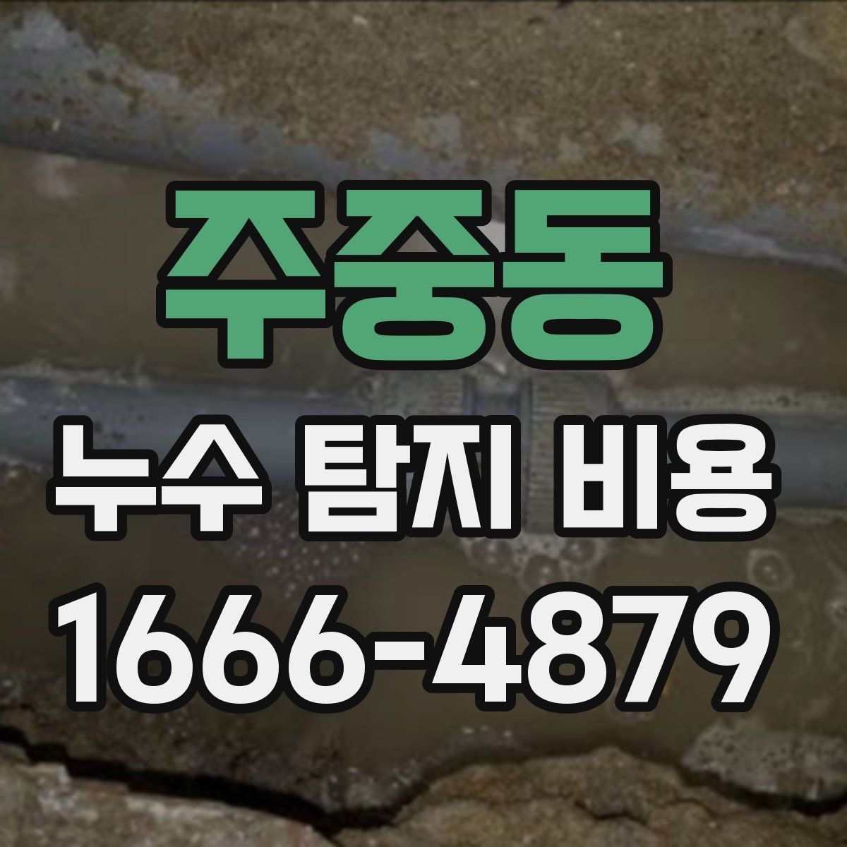 주중동 누수 탐지 비용