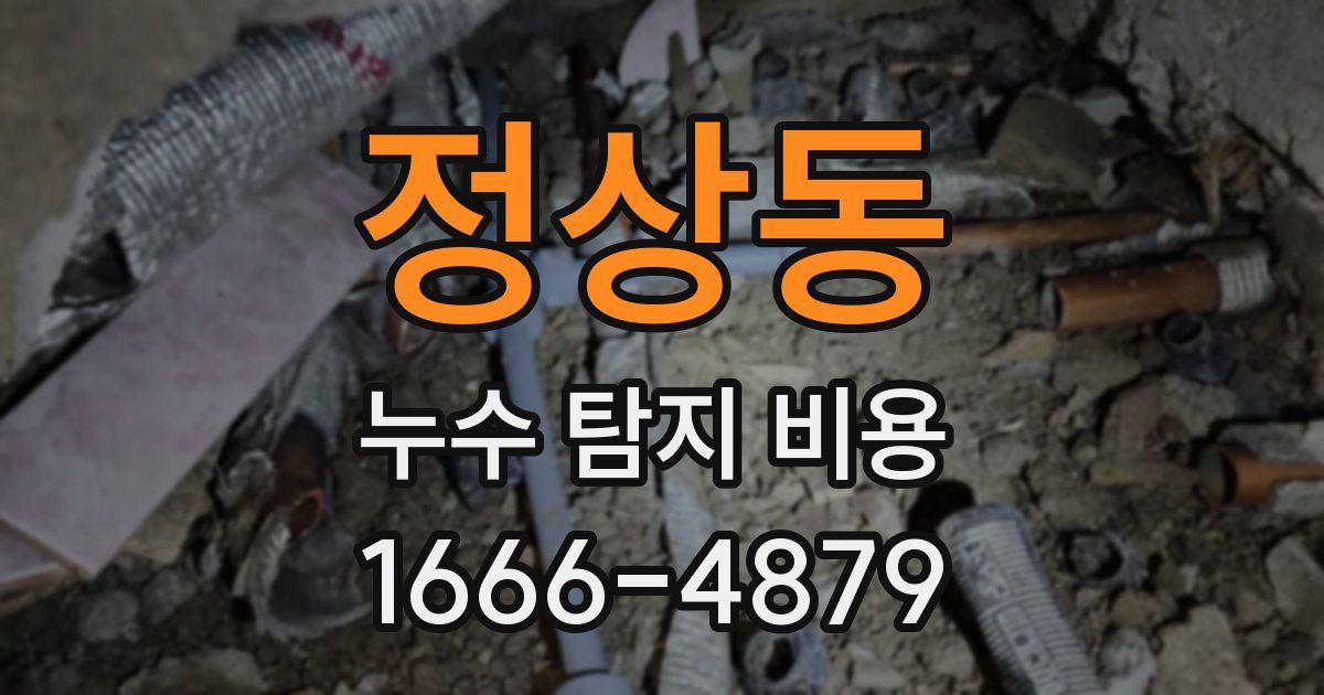 정상동 누수 탐지 비용