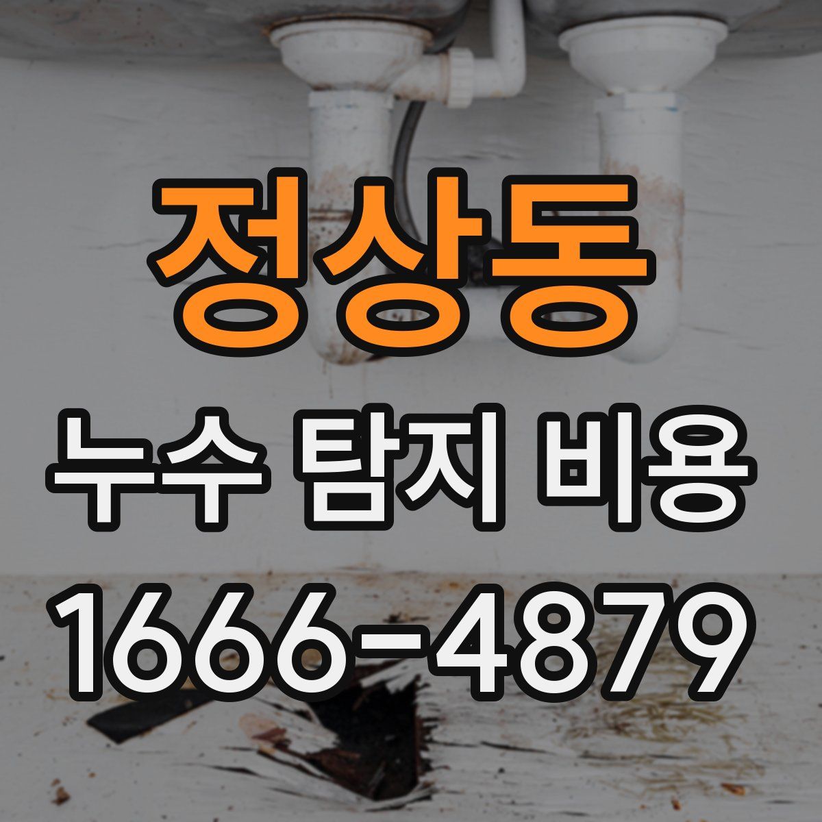 정상동 누수 탐지 비용