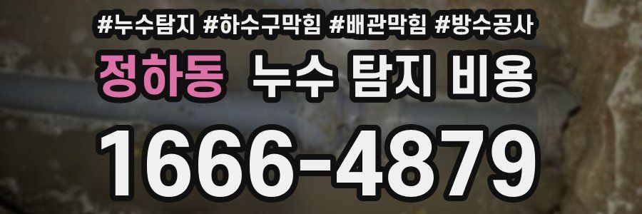 정하동 누수 탐지 비용