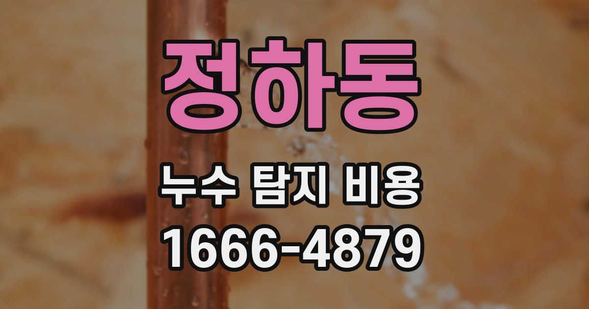 정하동 누수 탐지 비용