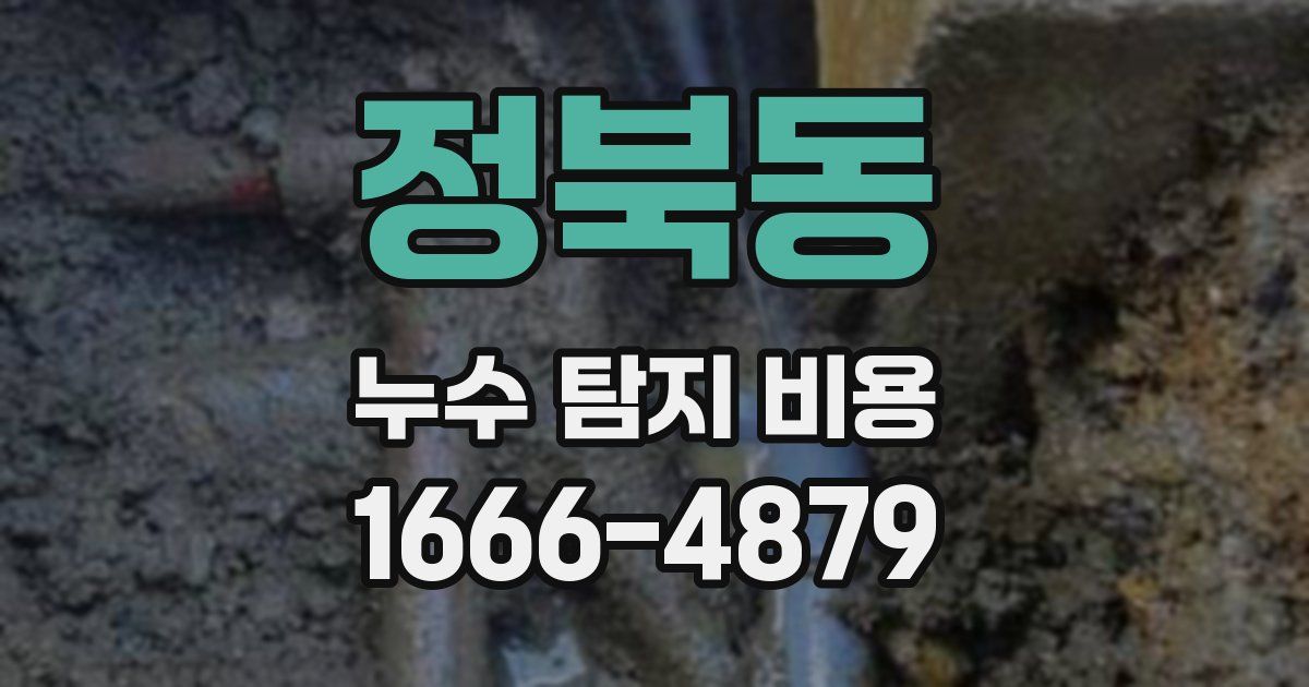 정북동 누수 탐지 비용