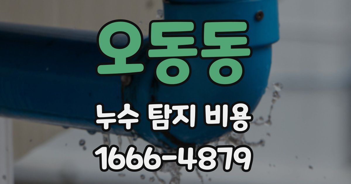 오동동 누수 탐지 비용