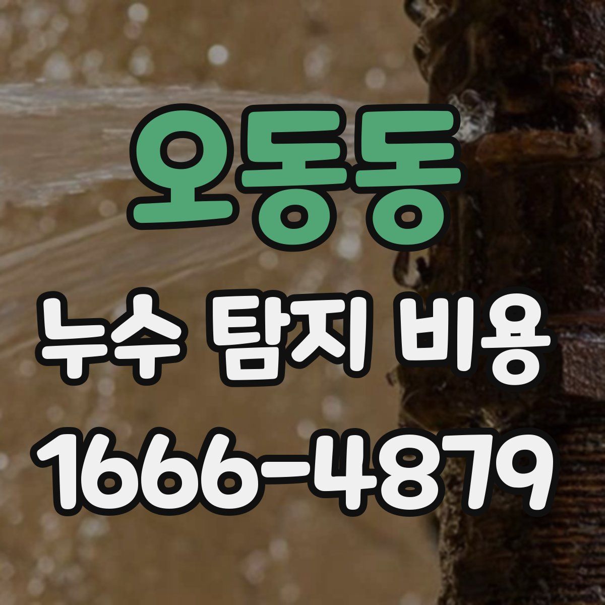 오동동 누수 탐지 비용