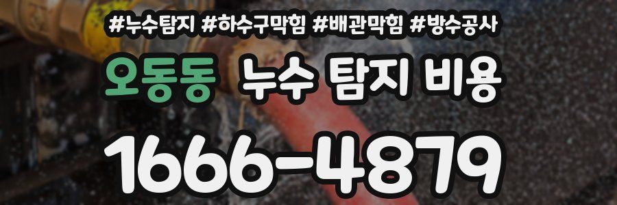 오동동 누수 탐지 비용
