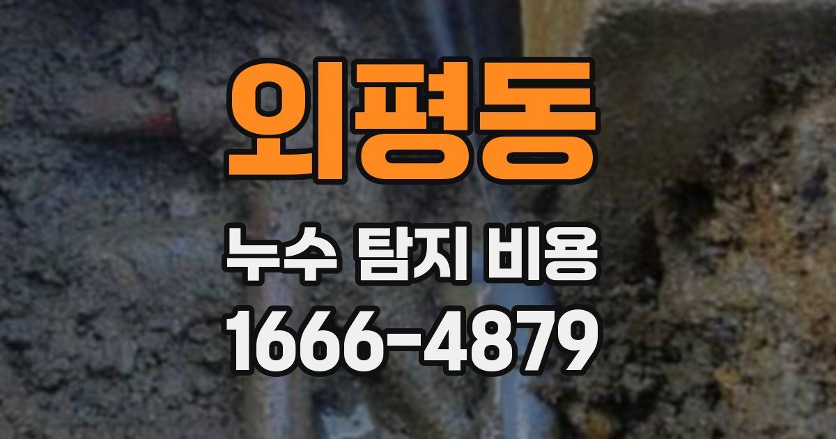 외평동 누수 탐지 비용