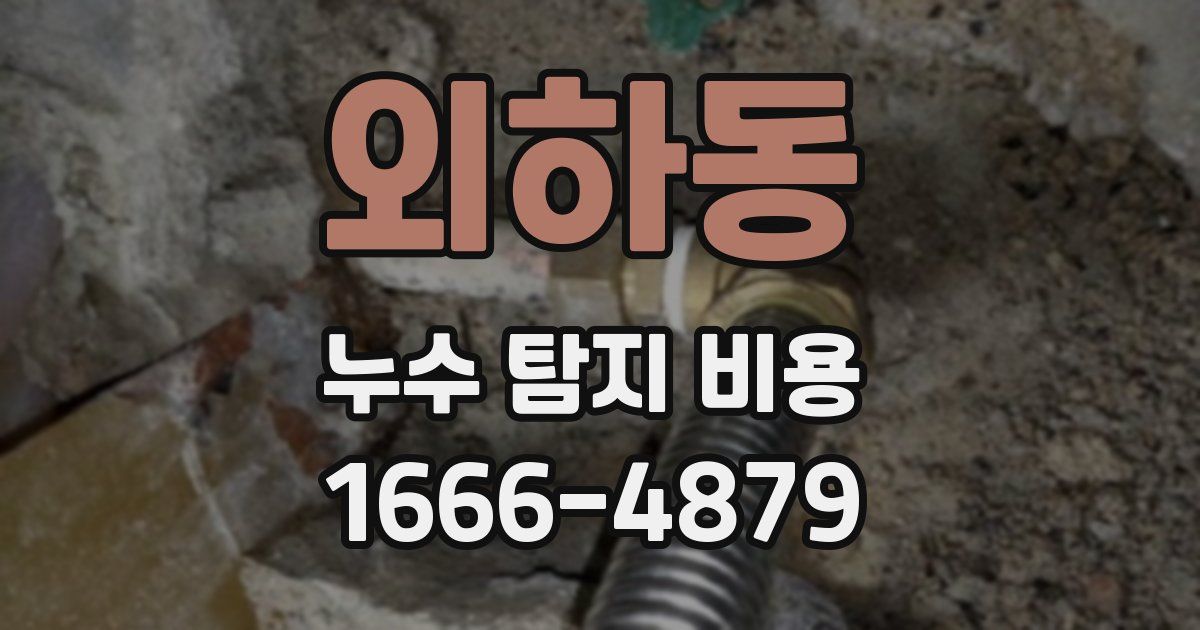 외하동 누수 탐지 비용