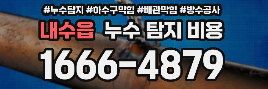 내수읍 누수 탐지 비용