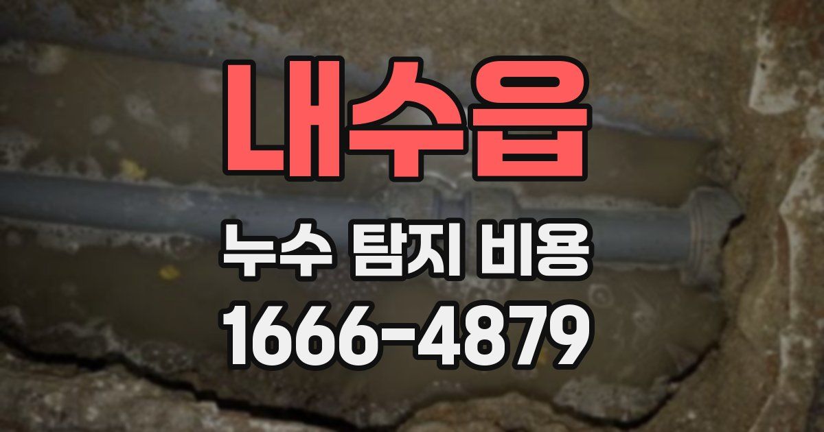 내수읍 누수 탐지 비용