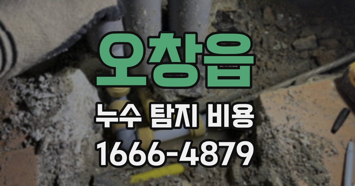오창읍 누수 탐지 비용