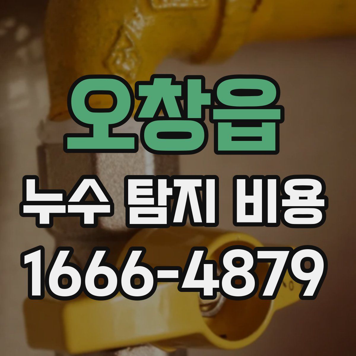 오창읍 누수 탐지 비용