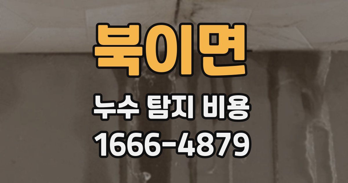 북이면 누수 탐지 비용