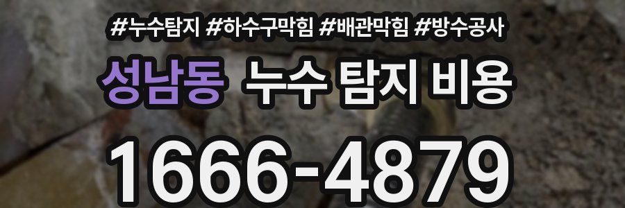 성남동 누수 탐지 비용