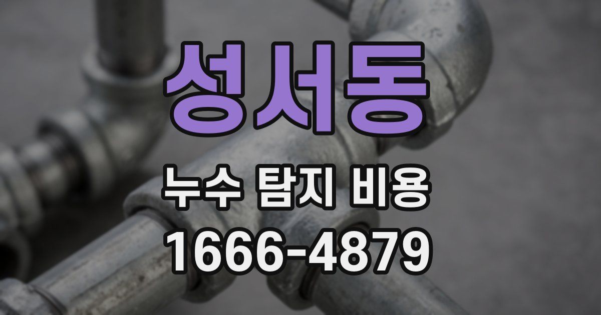 성서동 누수 탐지 비용