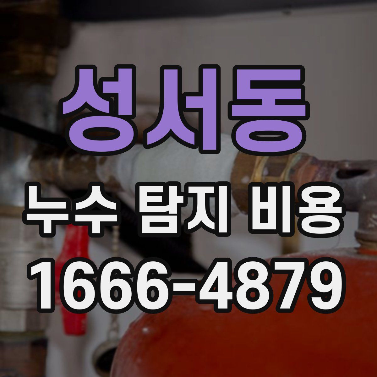 성서동 누수 탐지 비용